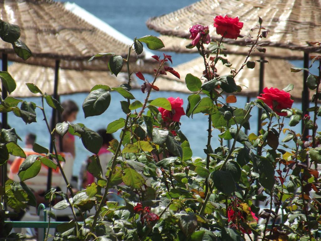 Hotel Yagci Erdek Exterior photo